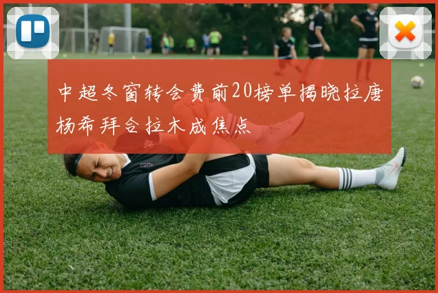 中超冬窗转会费前20榜单揭晓拉唐杨希拜合拉木成焦点
