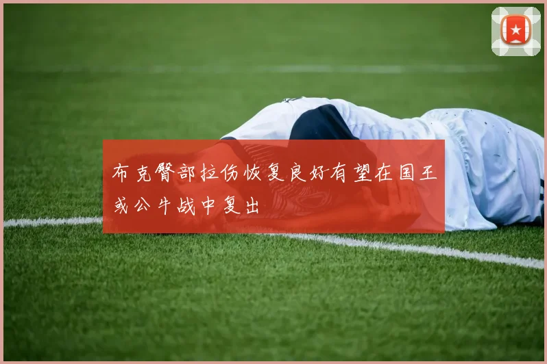 布克臀部拉伤恢复良好有望在国王或公牛战中复出