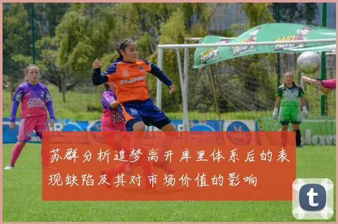苏群分析追梦离开库里体系后的表现缺陷及其对市场价值的影响
