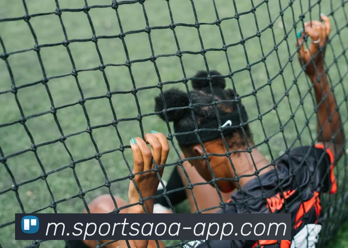 App Interface Preview