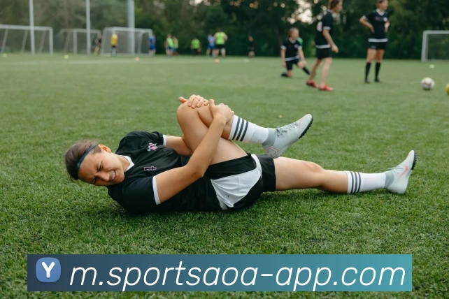 AOA体育APP 封面图